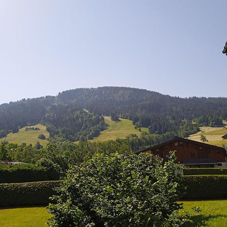 Studio Praz Sur Arly Praz-sur-Arly Exterior foto